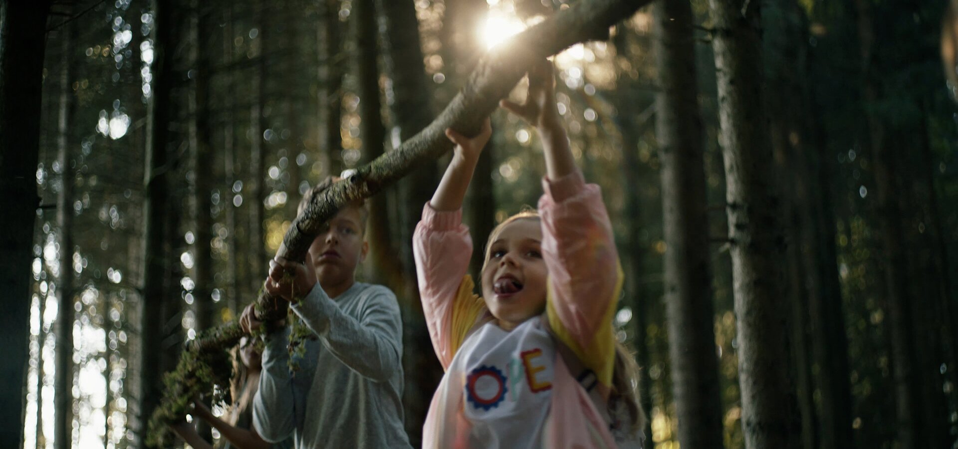 los niños levantan un árbol